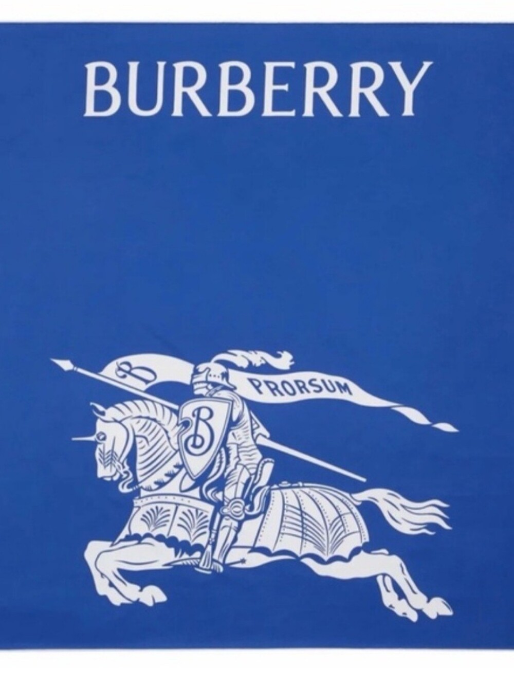 Burberry Blue and White Silk Logo Scarf